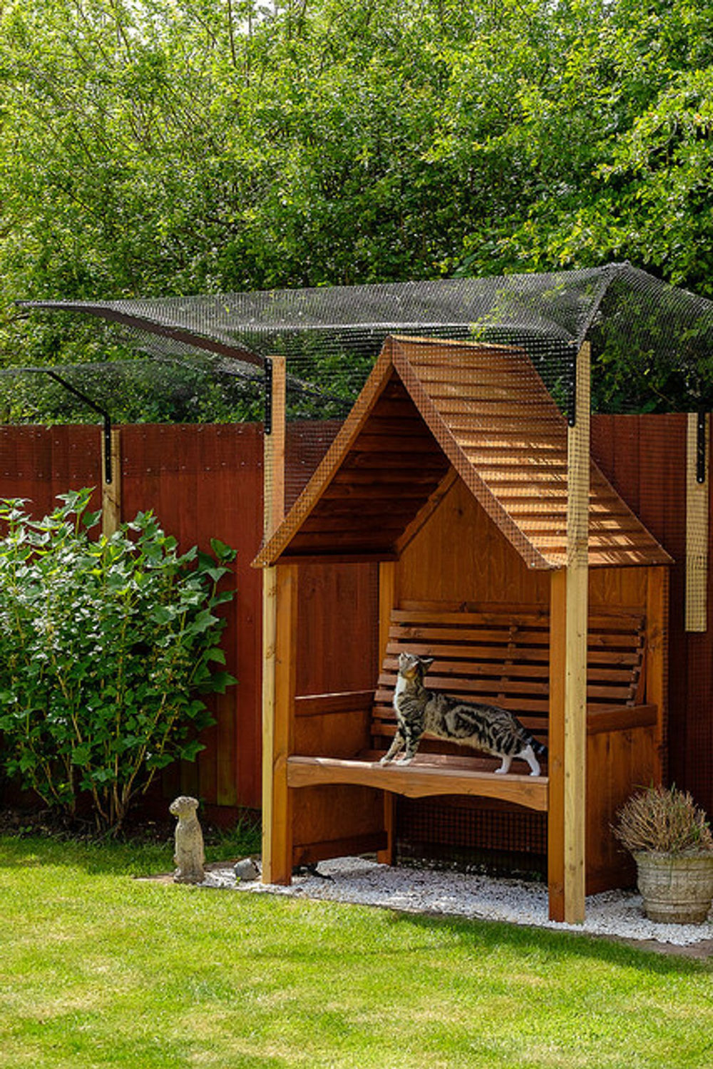 Could You Be an Accidental Cat Burglar?