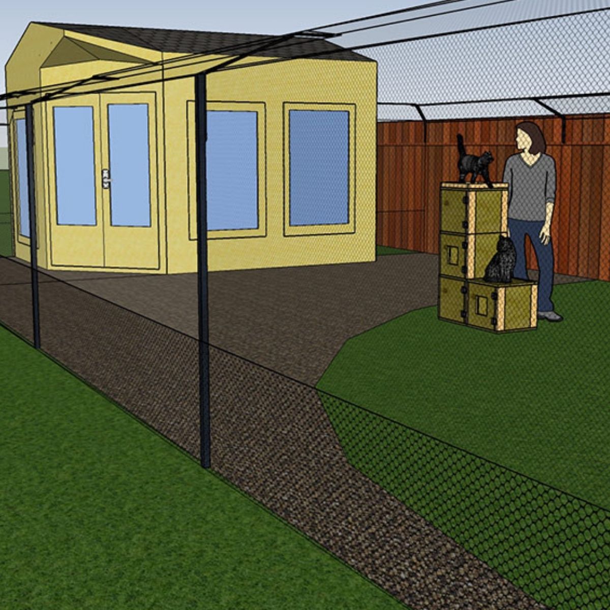 Catification and Outdoor Enrichment for Cats