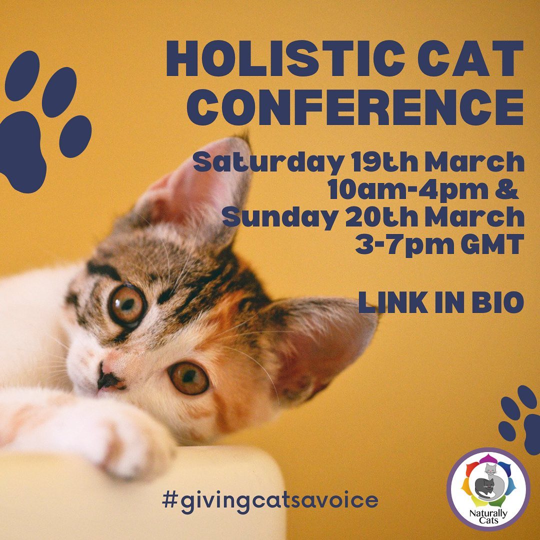 Holistic Cat Conference 2022 | ProtectaPet at the VIP Round Table Discussion
