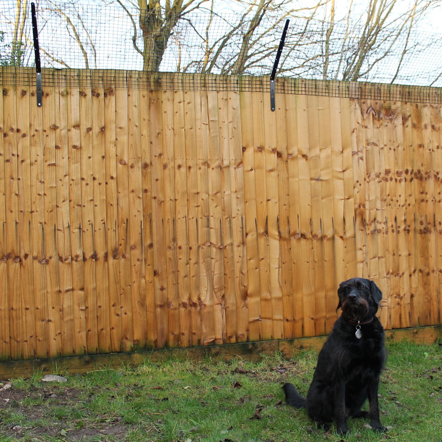 Introducing ProtectaPup: Dog Fencetop Brackets