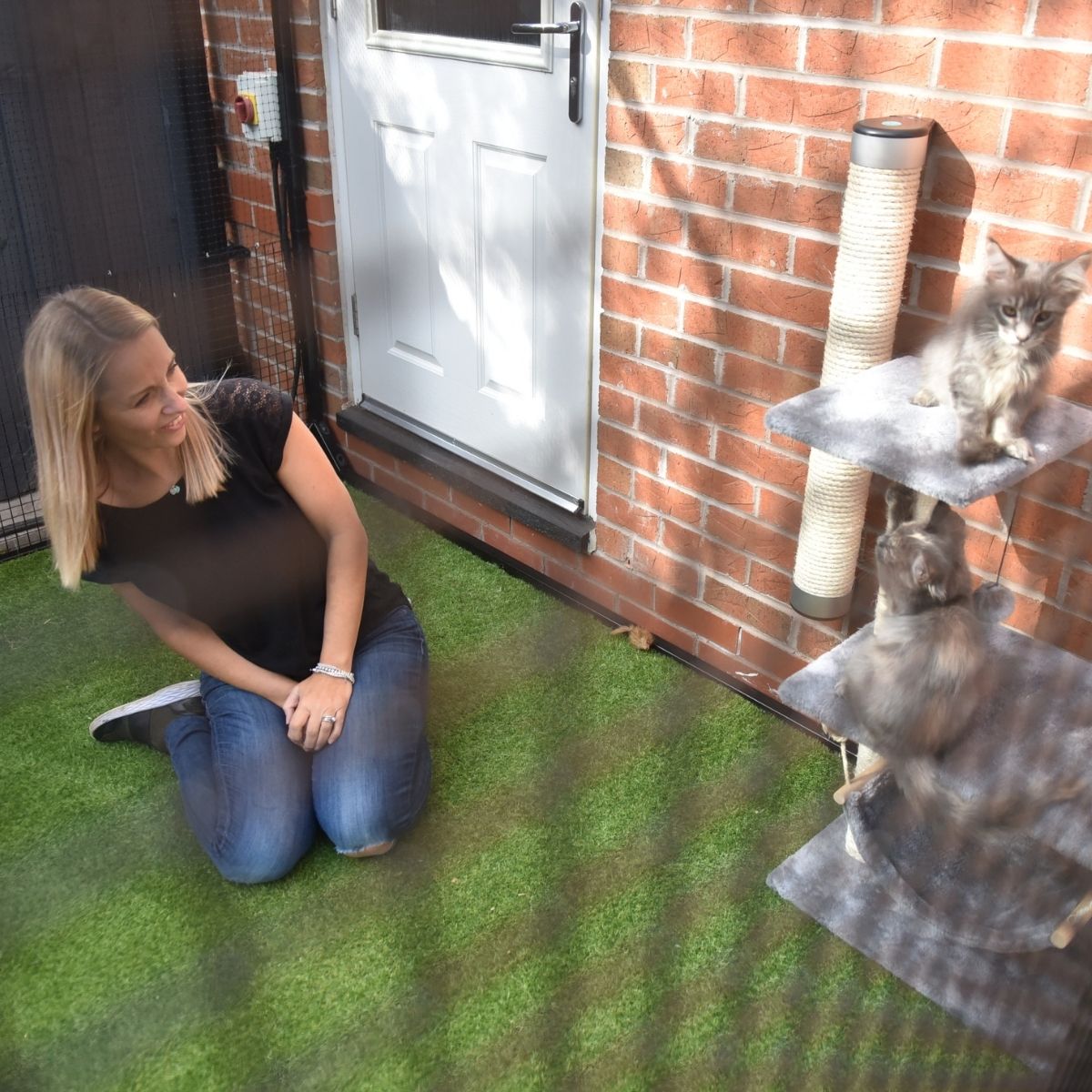 5 Tips to Keep Your Indoor Cat Happy