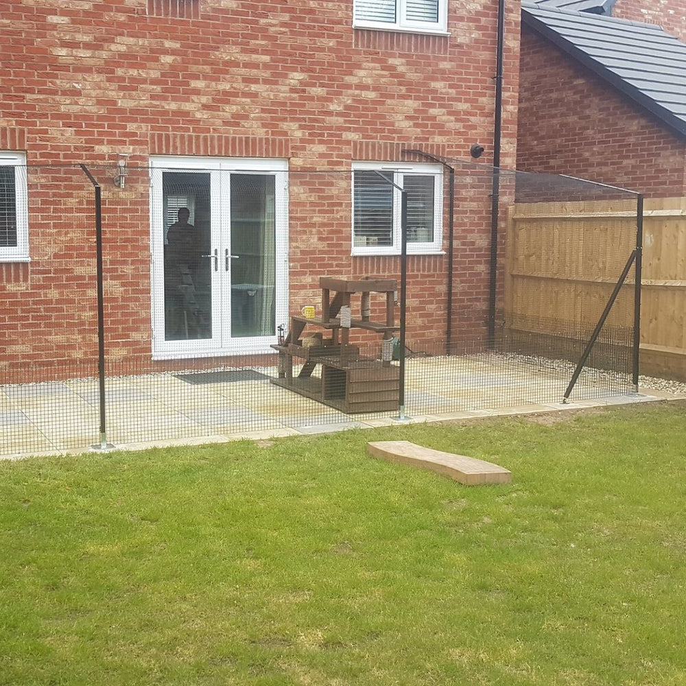 5 Ways to Keep Quarantined Cats Happy