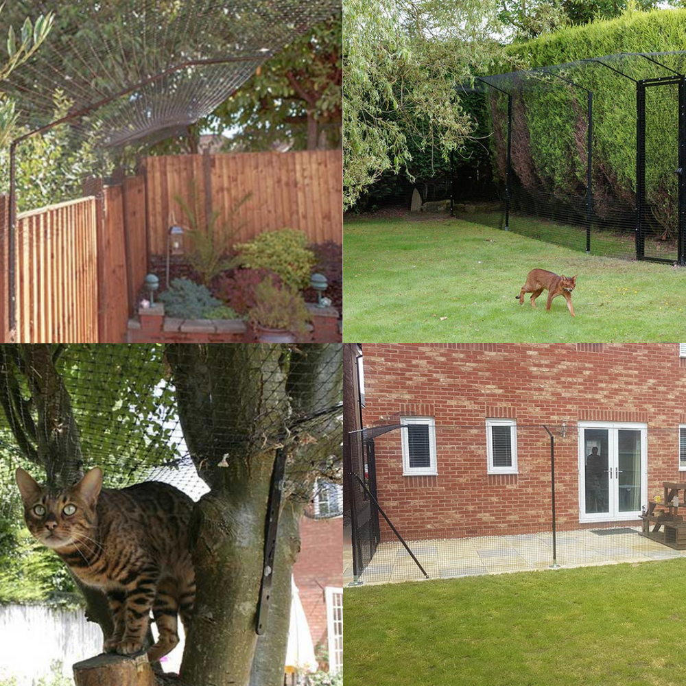 4 Ways to Cat Proof Your Garden