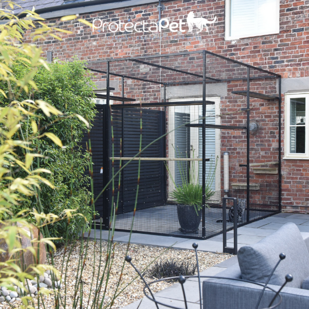 3 Things to Do with Your Cat During Lockdown