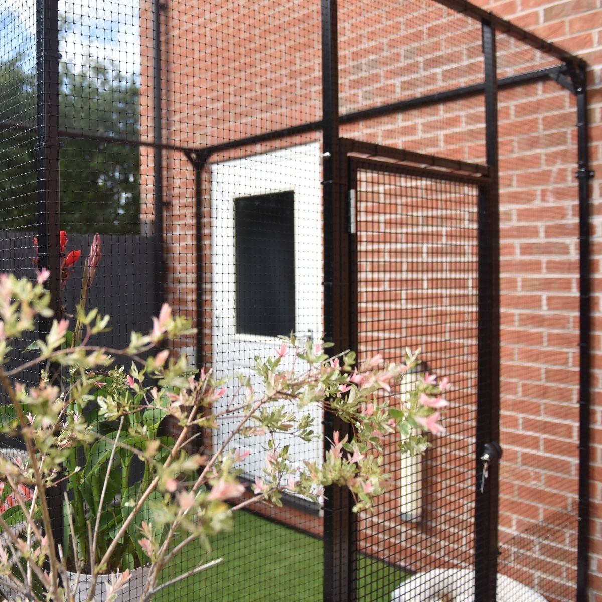 Five Types of Cages for Cats