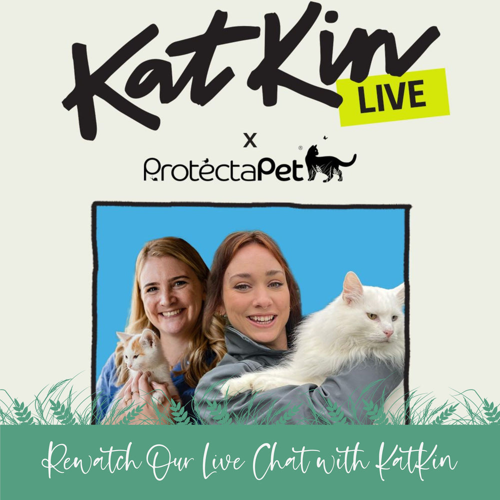 ProtectaPet x KatKin