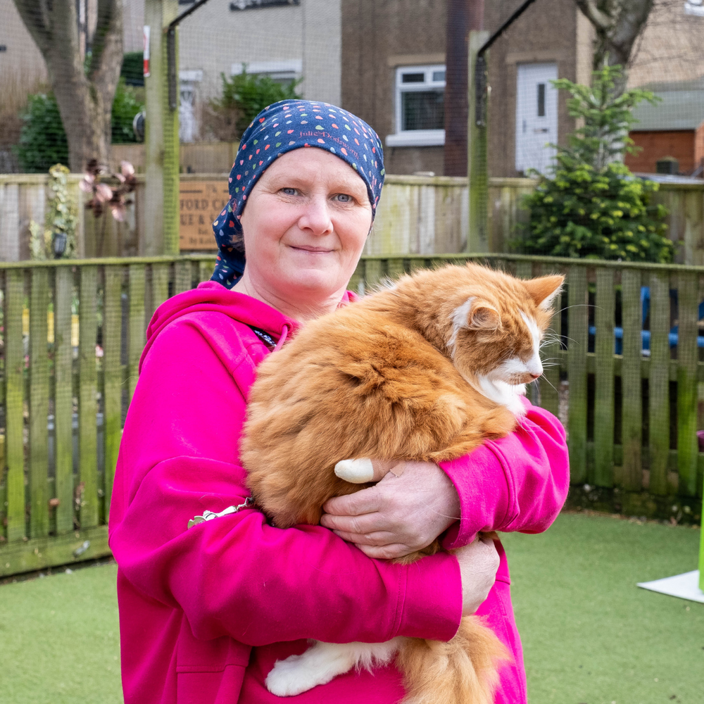 How Bradford Catch Watch Rehabilitates 1000s of Cats Every Year in Their Outdoor Cat Enclosure