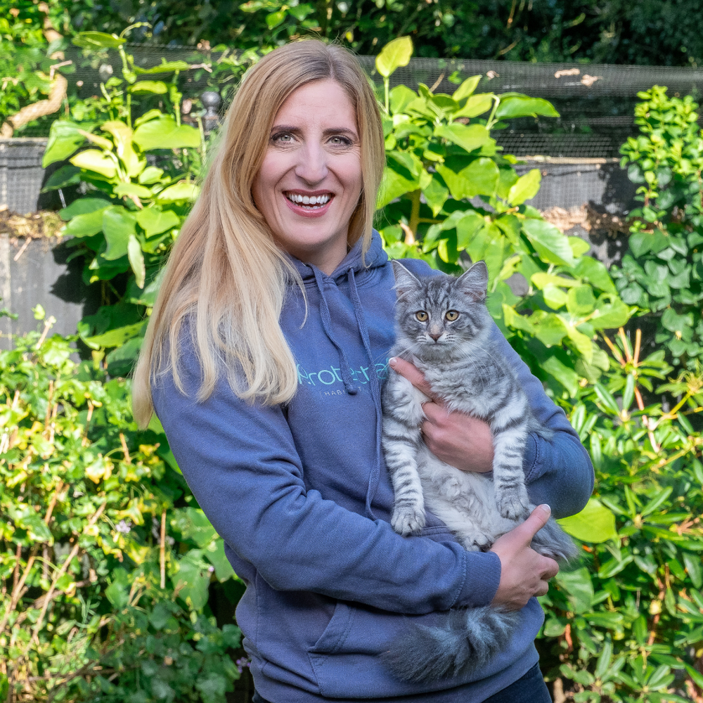Cat Fencing, Cat Enclosures and Catios for Kittens
