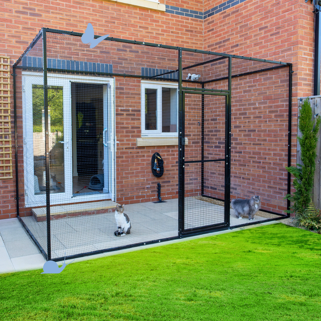 The New DIY Steel-Framed Catio from ProtectaPet! 🌿