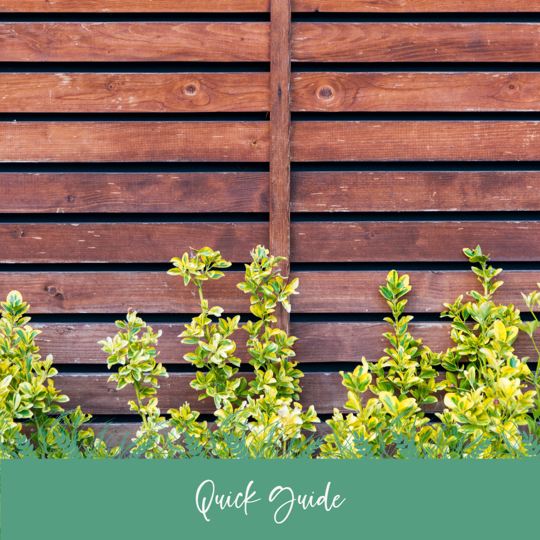 Quick Guide: Preparing Foliage Before a ProtectaPet System is Installed