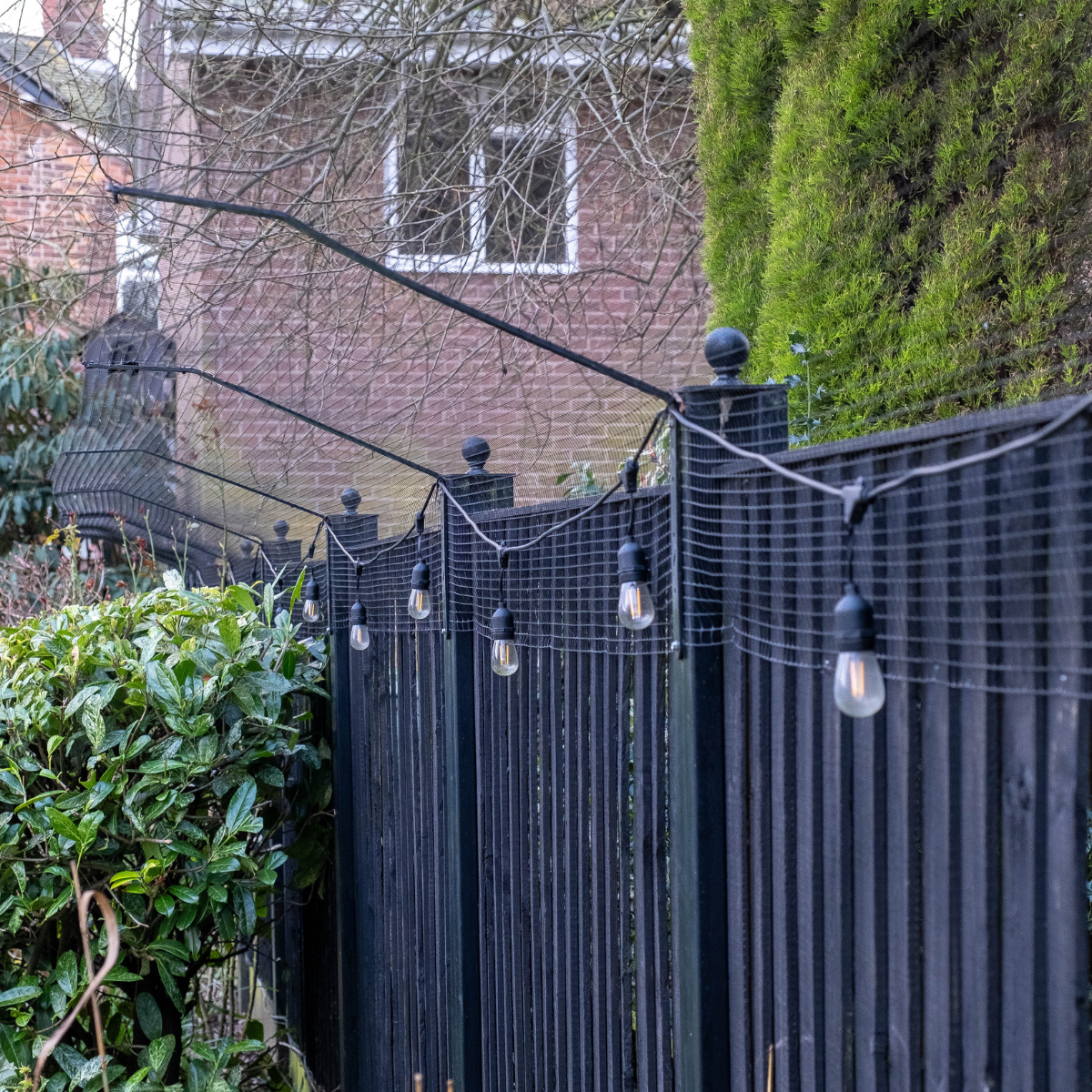 Thinking About Buying a Second-Hand ProtectaPet System? Read This First!