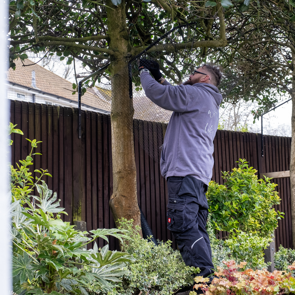Can You Install ProtectaPet in a Garden with Trees?