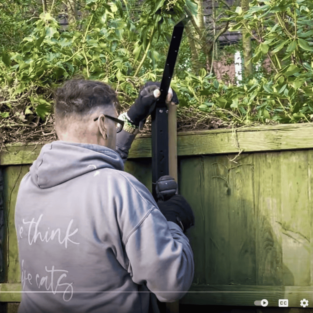 Why Choose Professional ProtectaPet Installation?