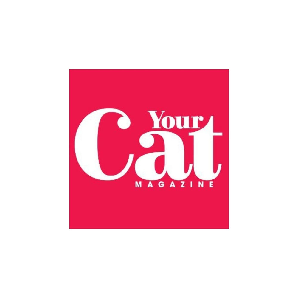 Your Cat March 2019