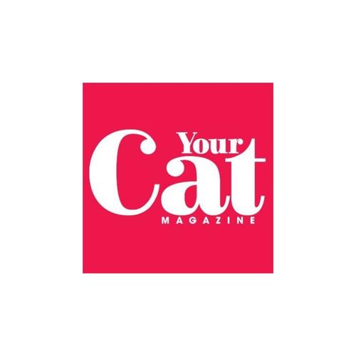Your Cat, May 2021, Building Cat Fencing
