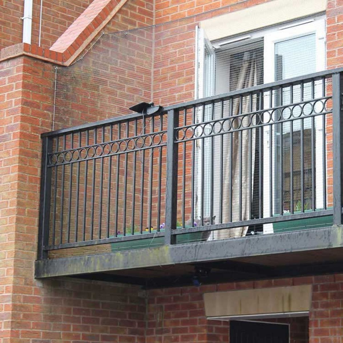 Cat Balcony & Cat Balconies