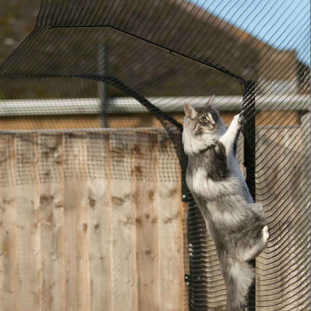 Do Cat Fences Really Work?