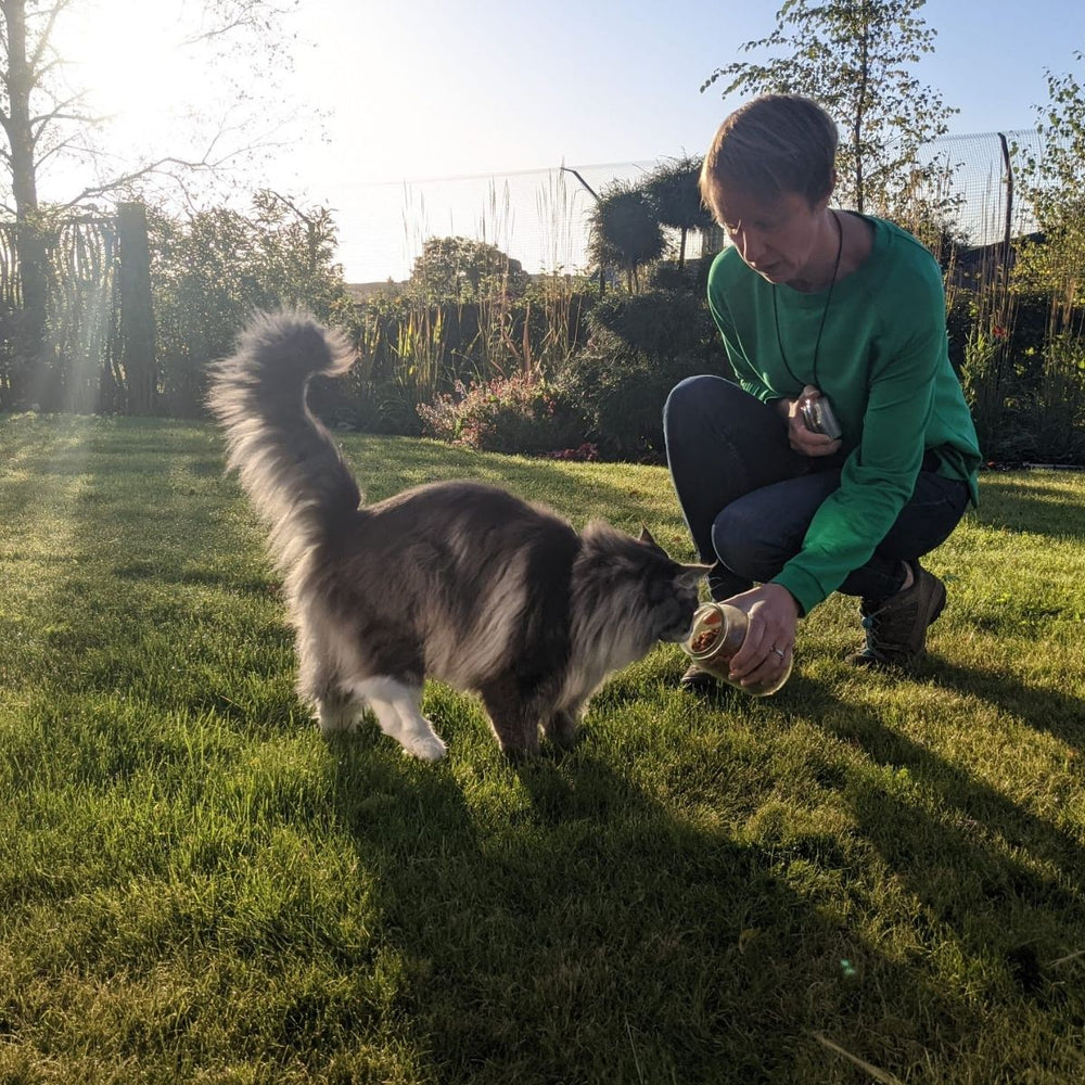 ProtectaPet Newsletter