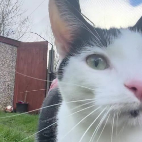 Announcing the Winners of ProtectaPet's £10k Giveaway