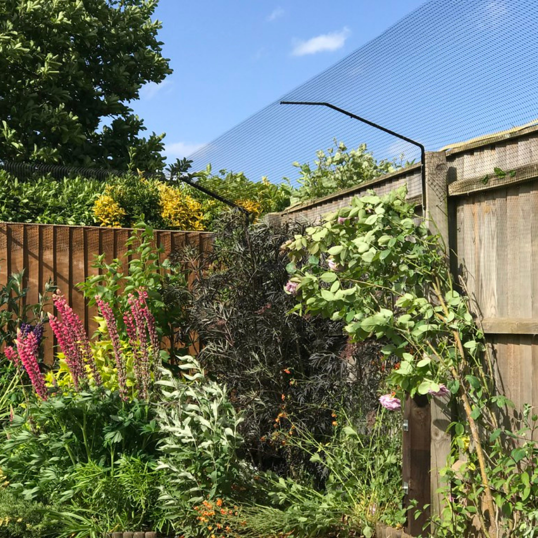 Outdoor sales cat barrier