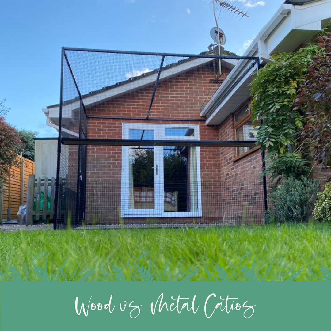 Metal vs. Wooden Catios: Choosing the Purrfect Outdoor Haven for Your Cat