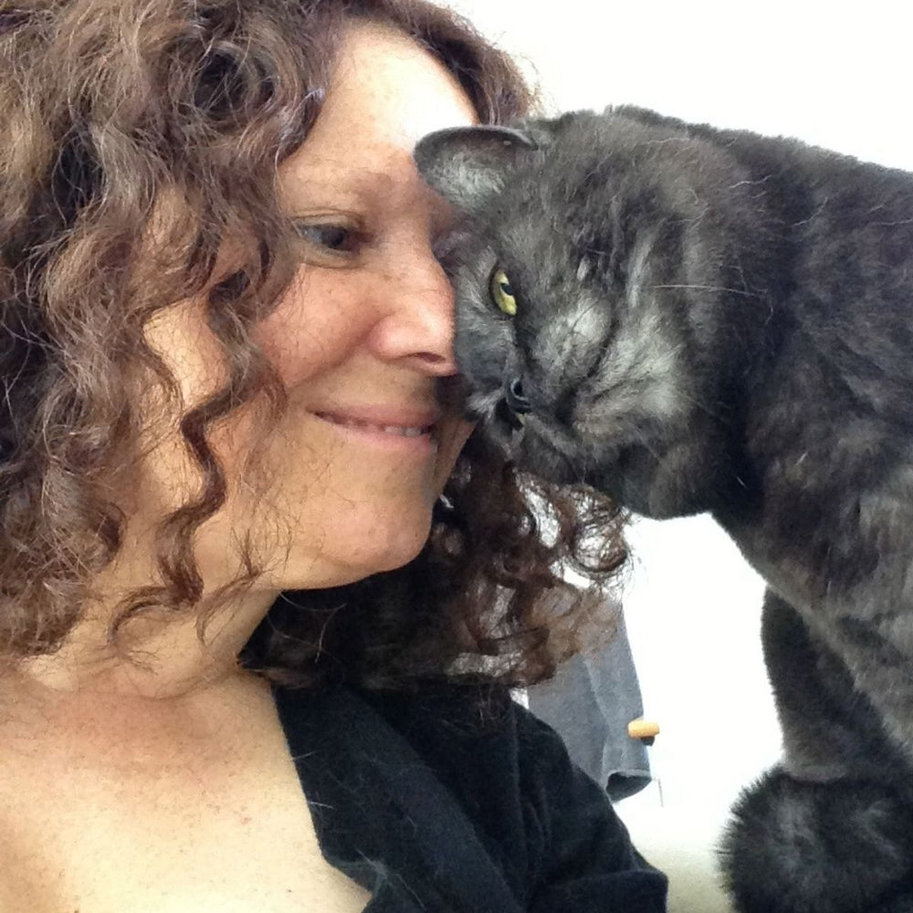 An Interview with Anita Kelsey, the Cat Behaviourist