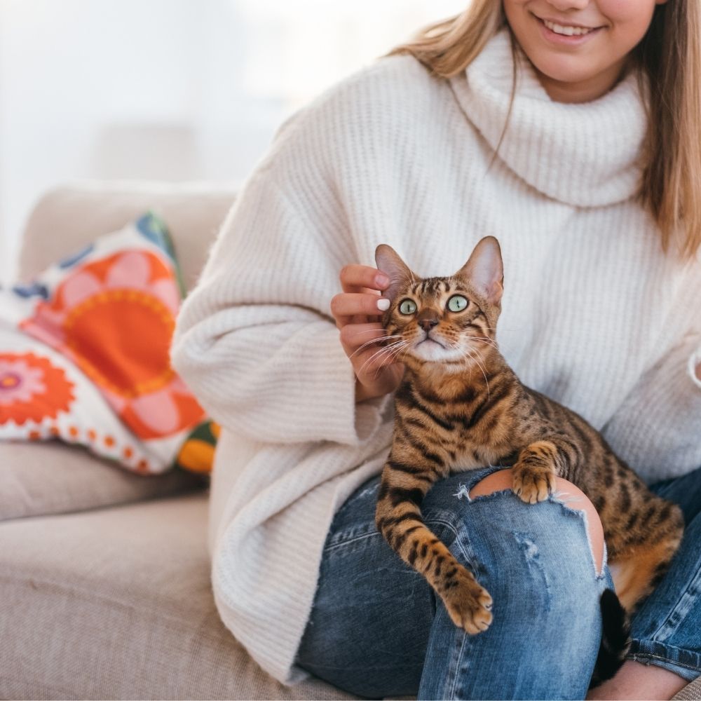 Are You a Cat Whisperer?