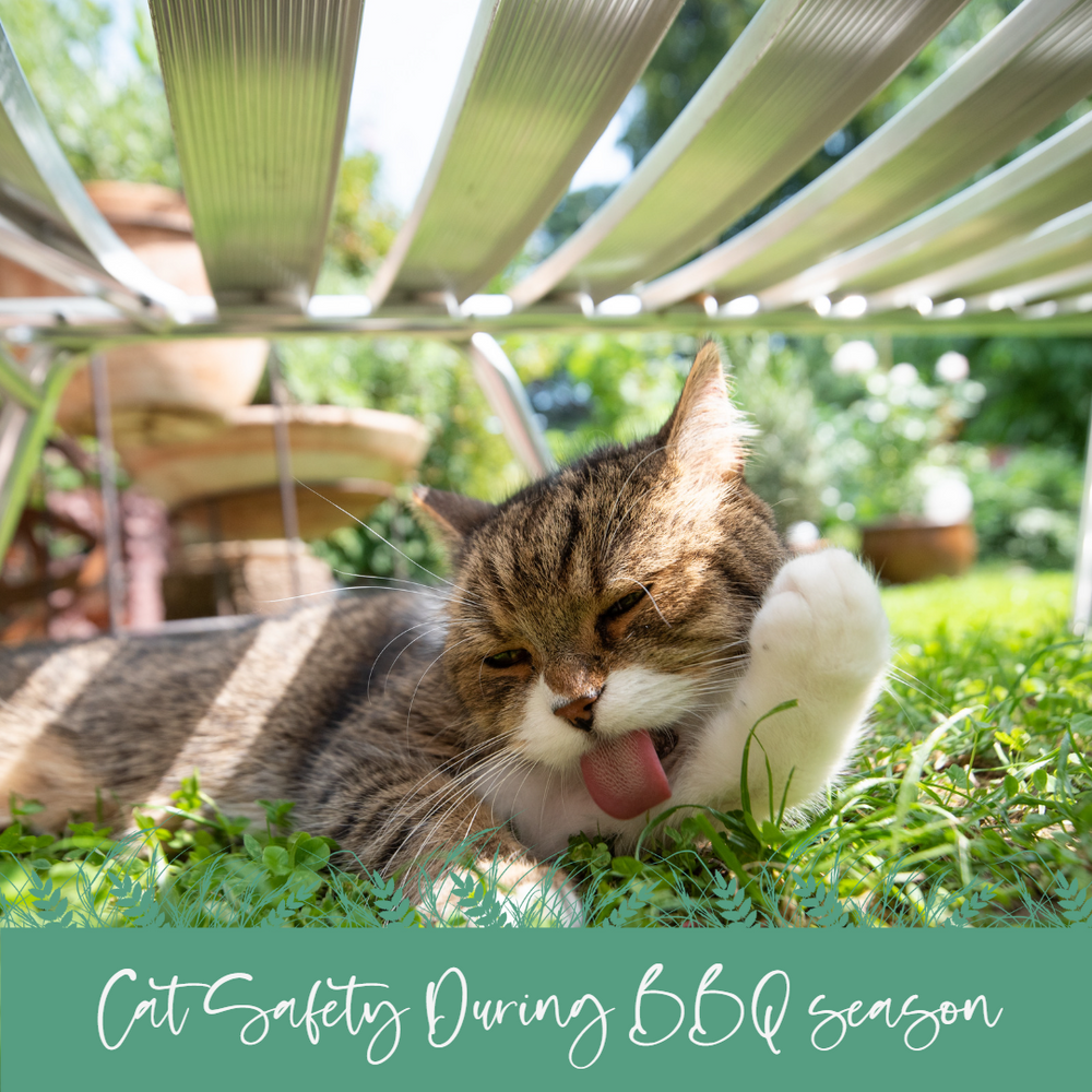 Cats and Cat-Secure Gardens During BBQ and Chimenea Season