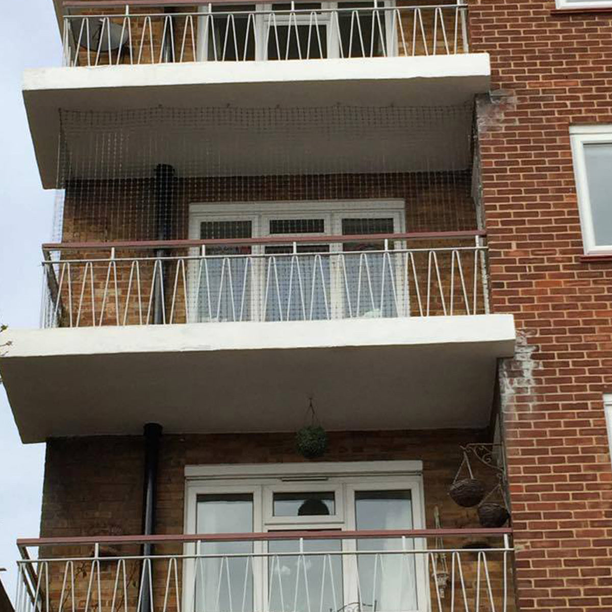 Blue Cross Appeal: Keep Cats Away From Open Windows and Balconies
