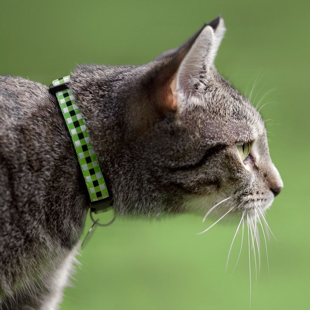 Cool Cat Collars - Interview with Gareth, Co-Founder