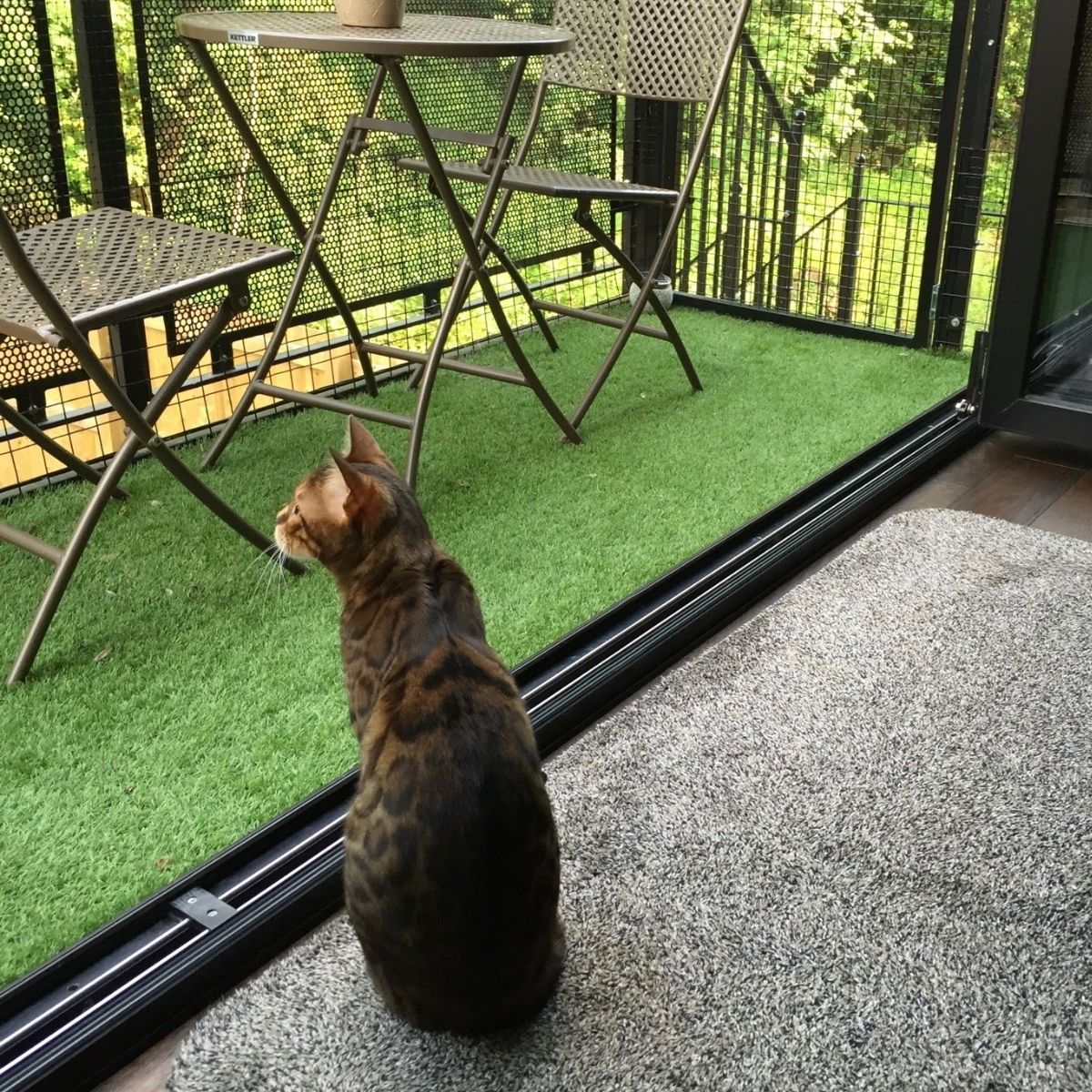 Catio small clearance