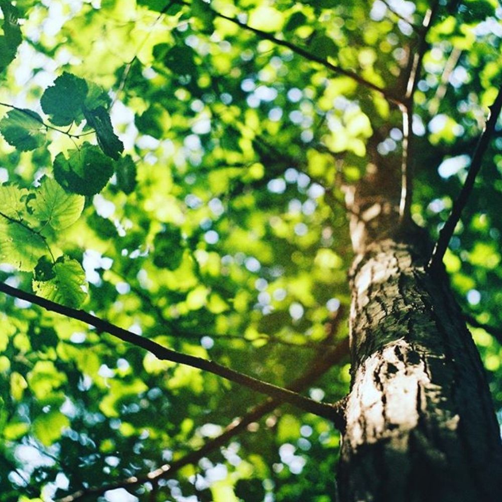 Cat Kind Spring Cleaning!