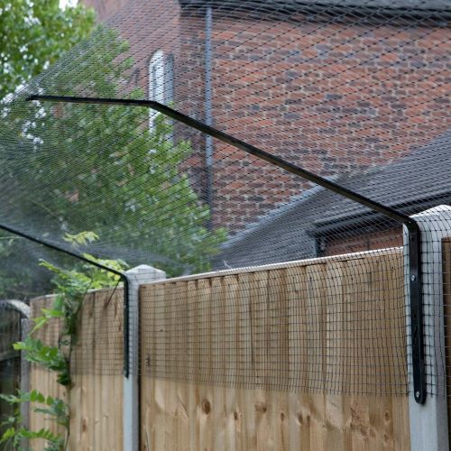 Protect a 2025 cat fencing