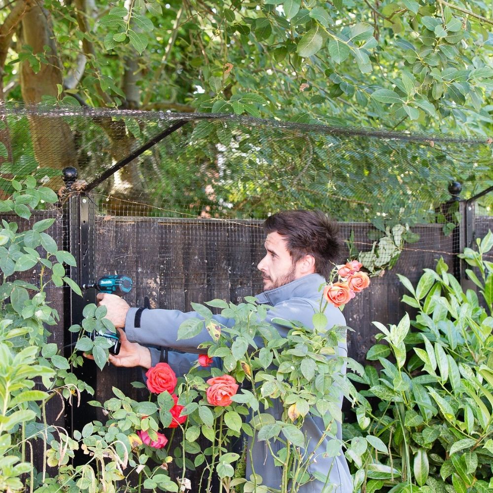 Cats and Bonfire Night – How to Keep Them Safe