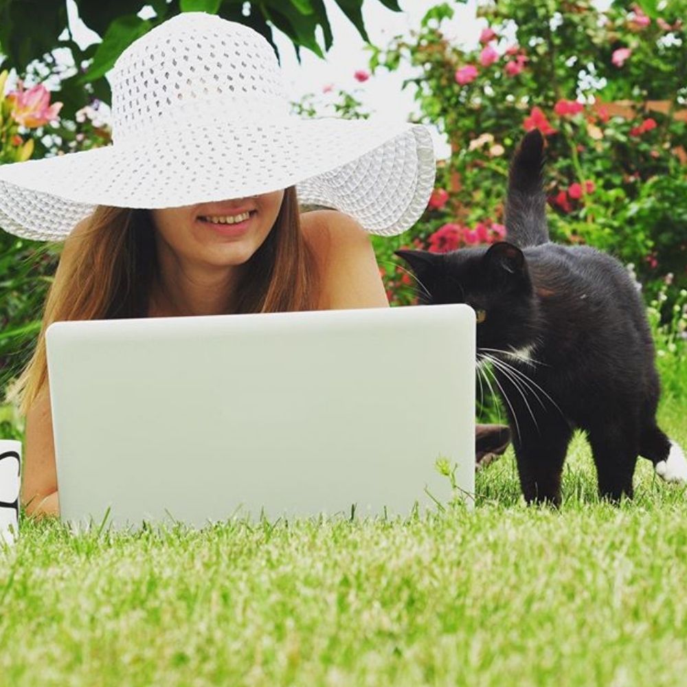 Cool for Cats – Guide to Keeping Cats Cool in a Heat Wave