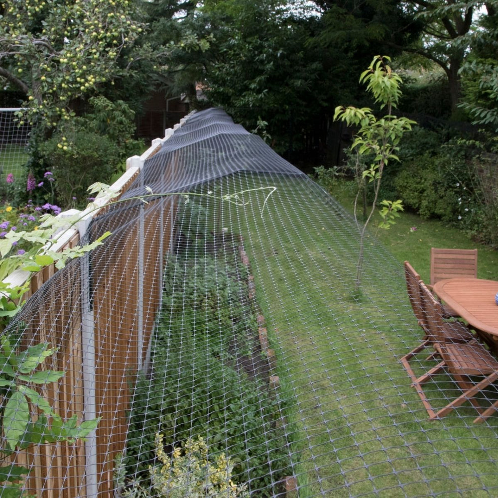 Crafty Cats, Crafting Cats and Protecting Cats