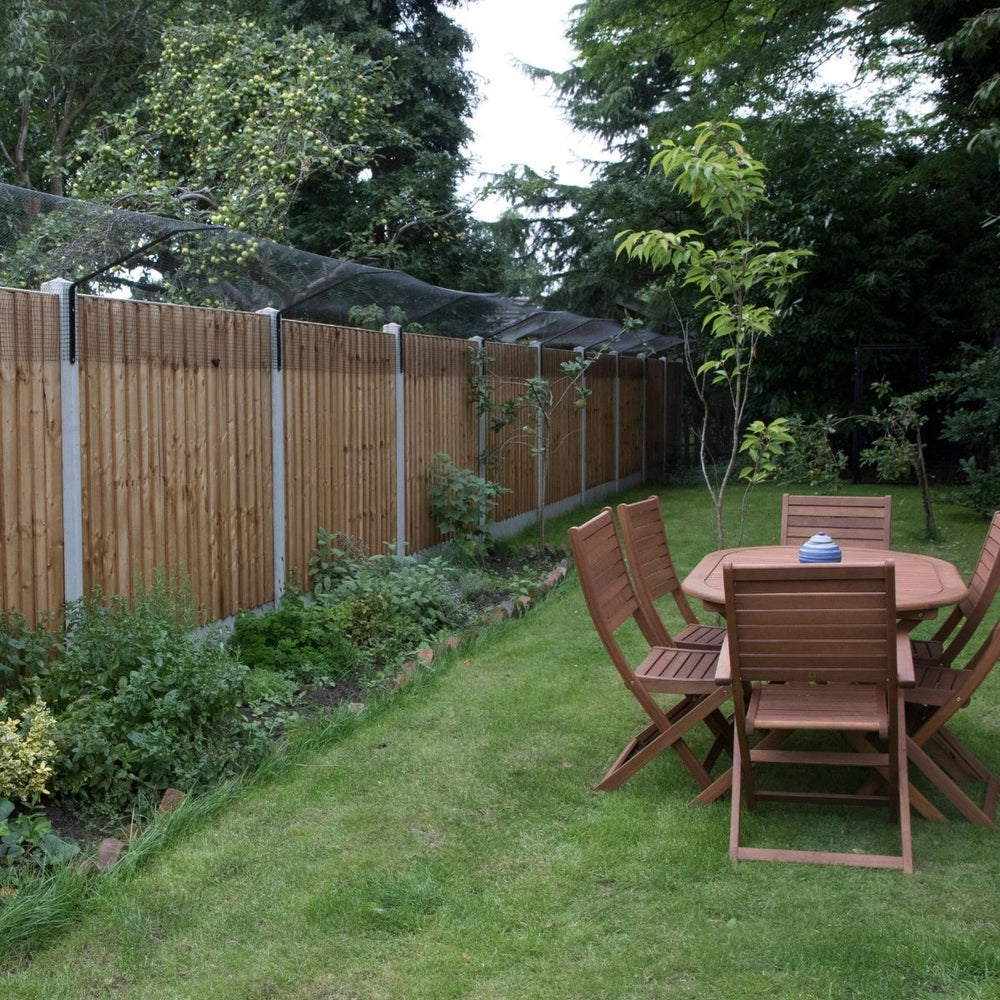 Creating a cat friendly garden: the ultimate guide to enrichment and ‘catification’