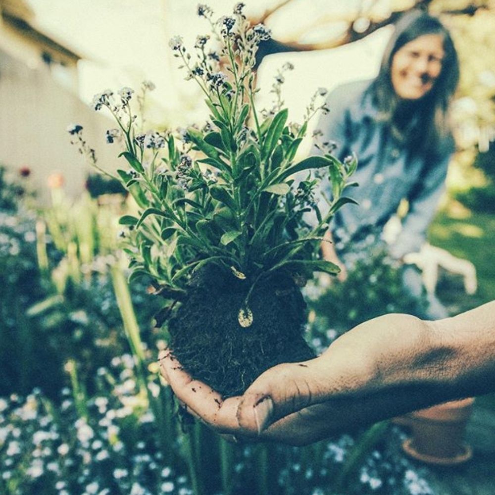 Does My Cat Have Allergies?