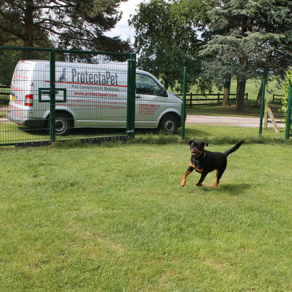 Dog Fencing Undergoing Development