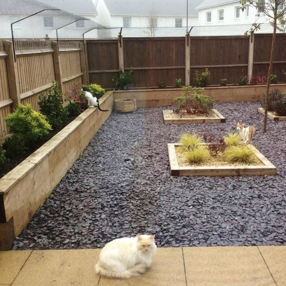 Help: my cat doesn’t like being stroked!