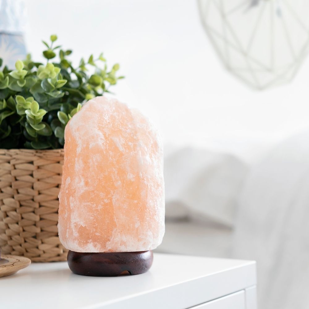 Himalayan Salt Lamp Warning for Cat Owners