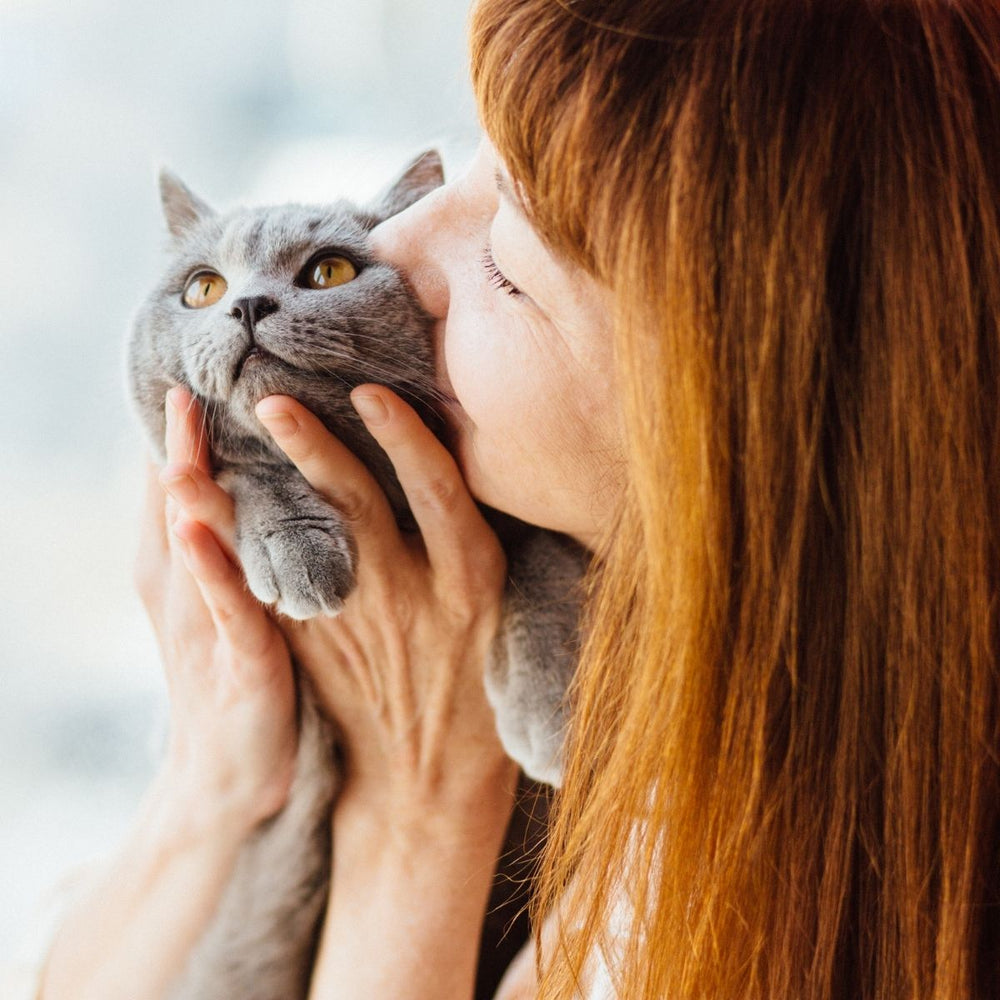 “Home is where the heart is” says The Cat Vet