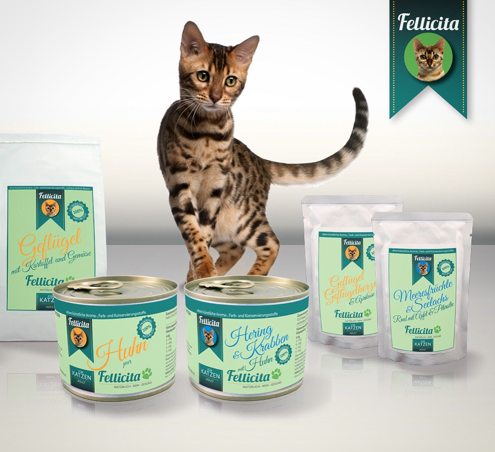 Honest Cat Food Company Launch New Brand