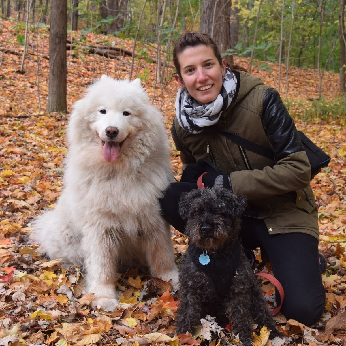 Housesitting - the kindest way to care for your pets when you travel