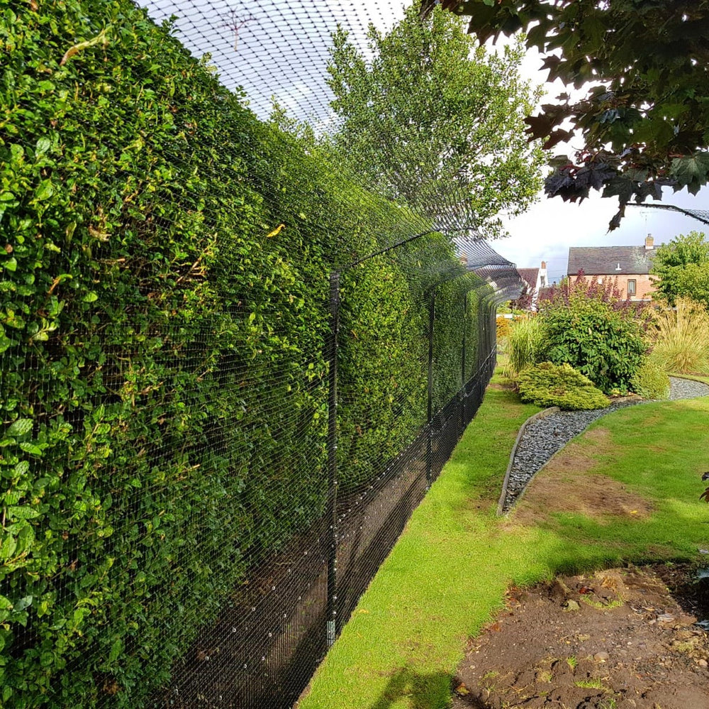 How Can I Keep My Cats in the Garden?