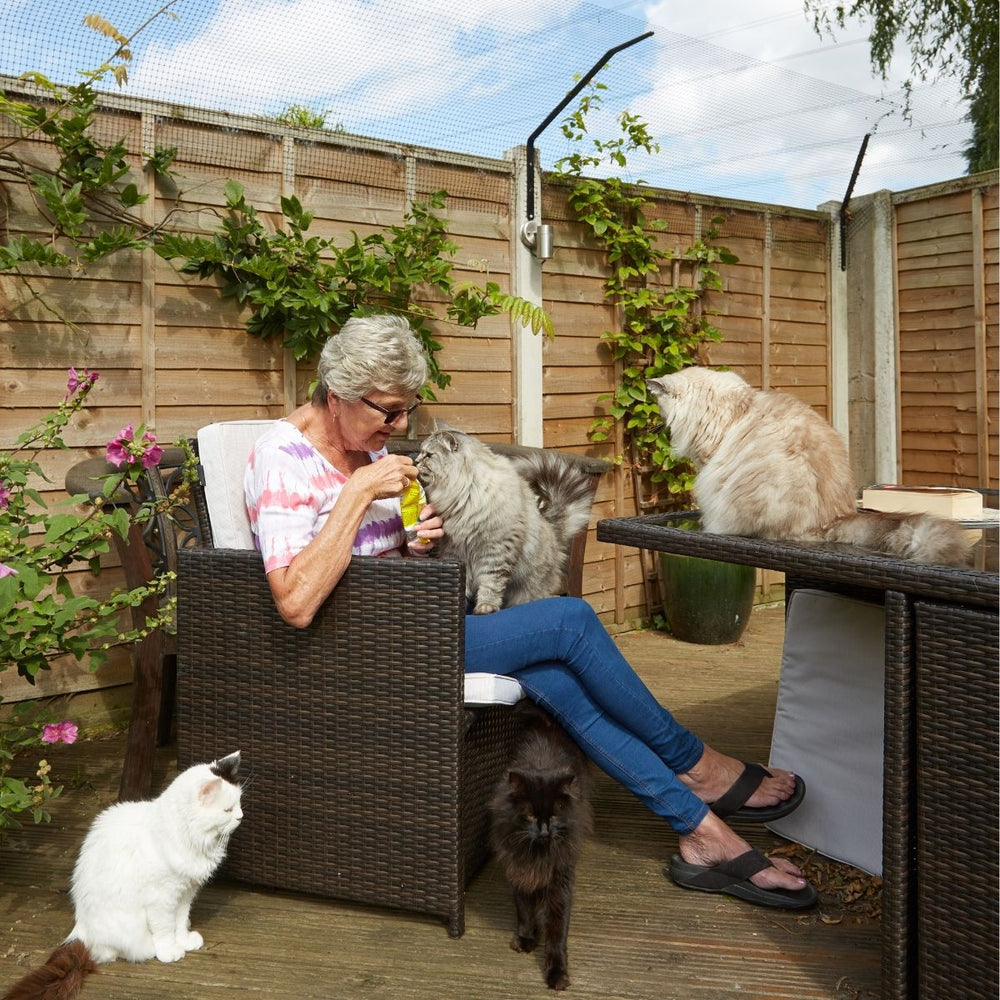 I Feel Guilty for Keeping My Cat Indoors