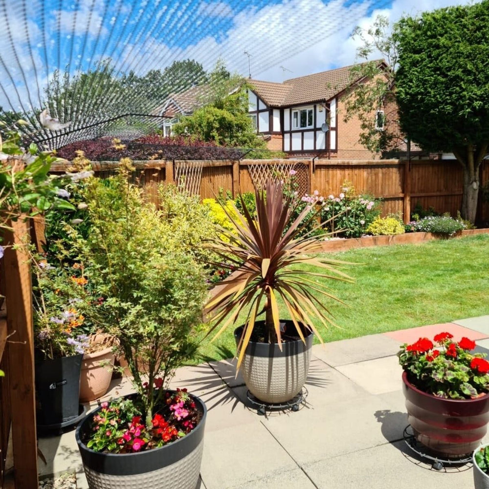 Is Your Home Really Safe for Your Pet?