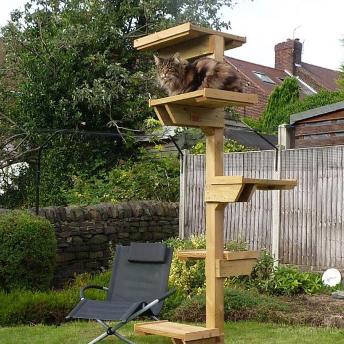 Kitty Klimbers