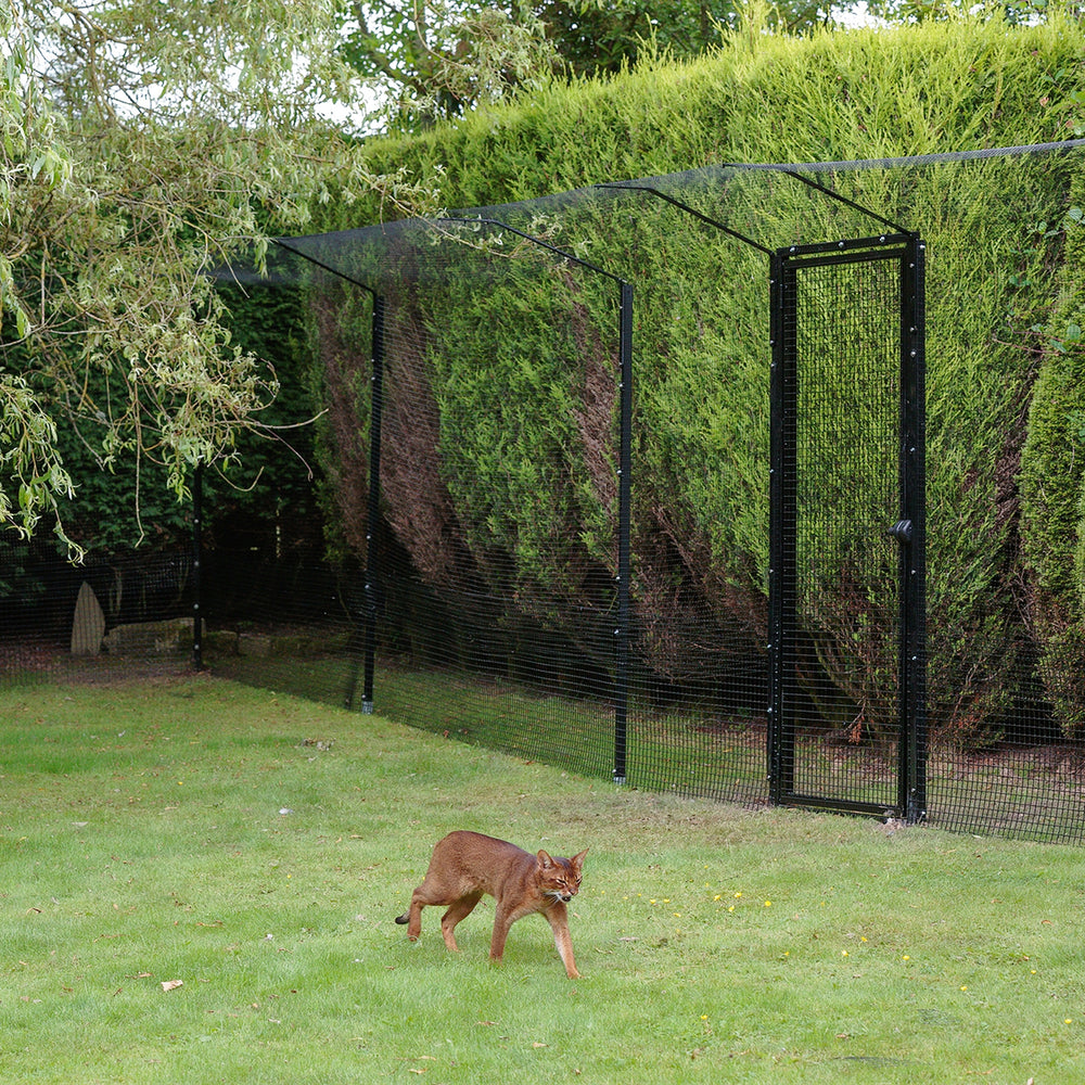 Launch of DIY ProtectaKit Freestanding Cat Enclosure
