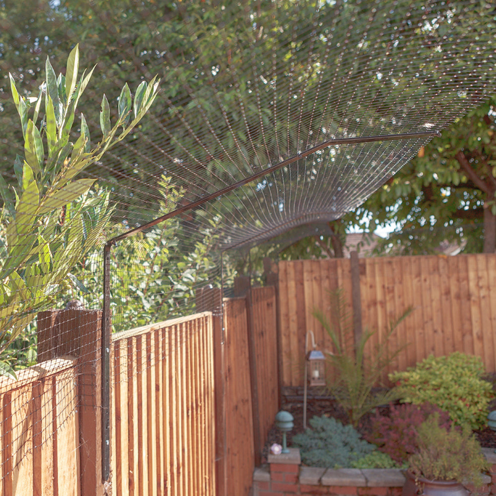 New Year Resolutions for Pet Owners